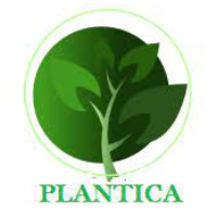 LOGO 6